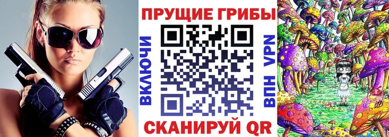 Псилоцибиновые грибы Psilocybe  Урень 